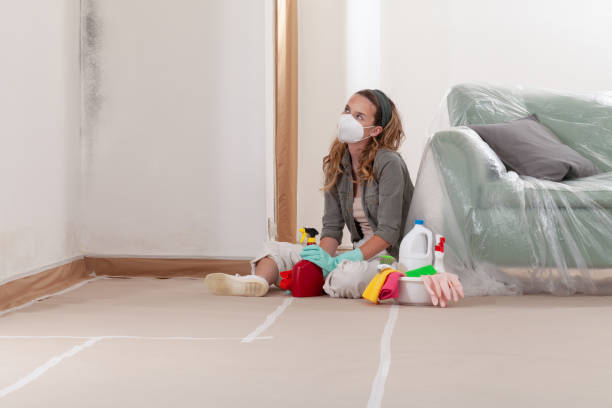 Reliable Mold Removal contractor in Robbinsville, NJ by WQB Mold Removal